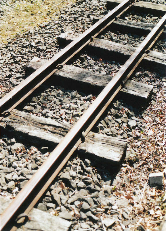 FWO08101