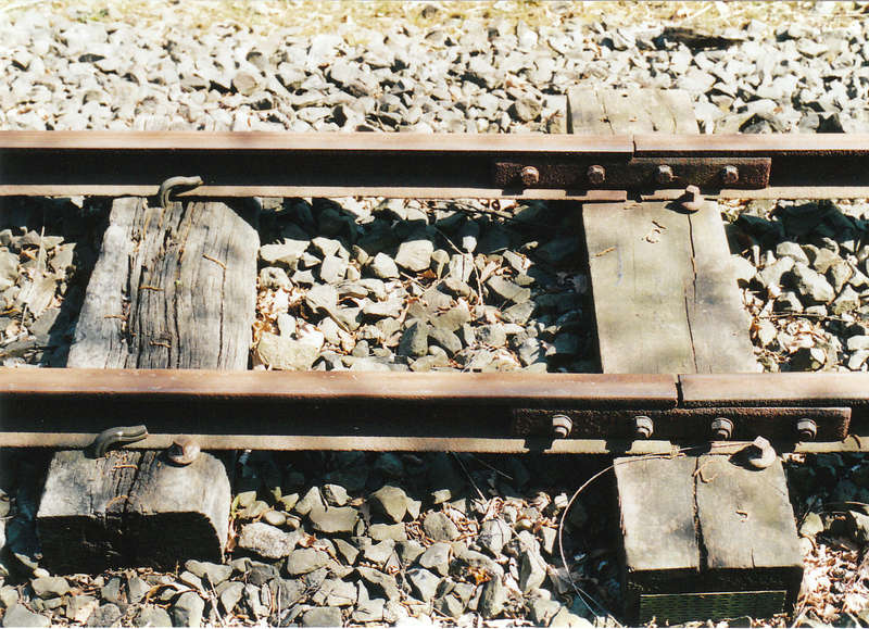 FWO08101
