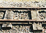 11162008_19011.jpg