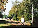 1116fwo11015.jpg