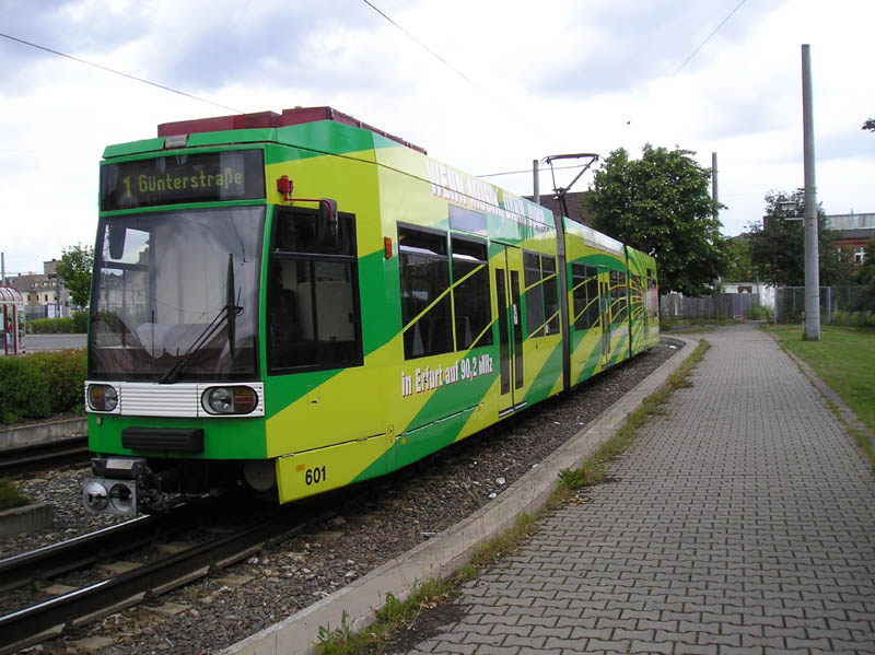 MGT6D 601