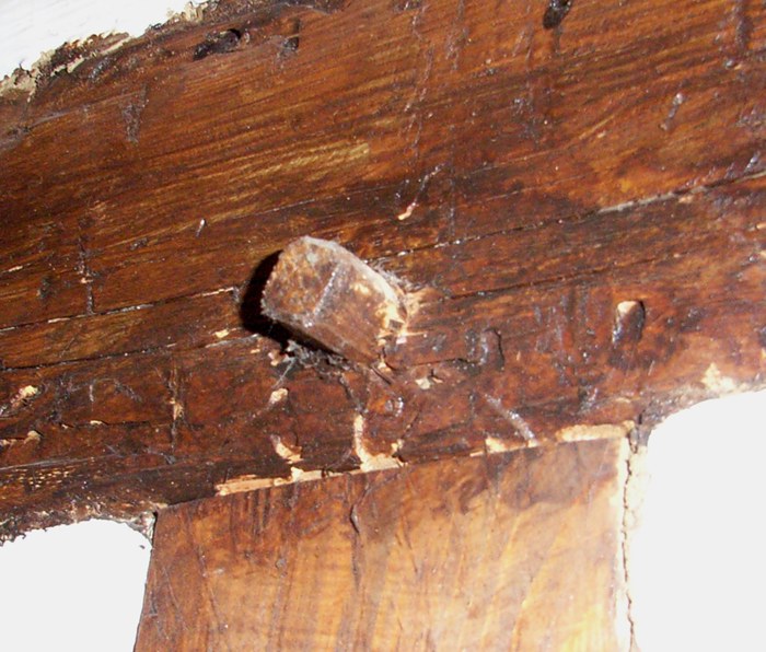 Holznagel_1_komp