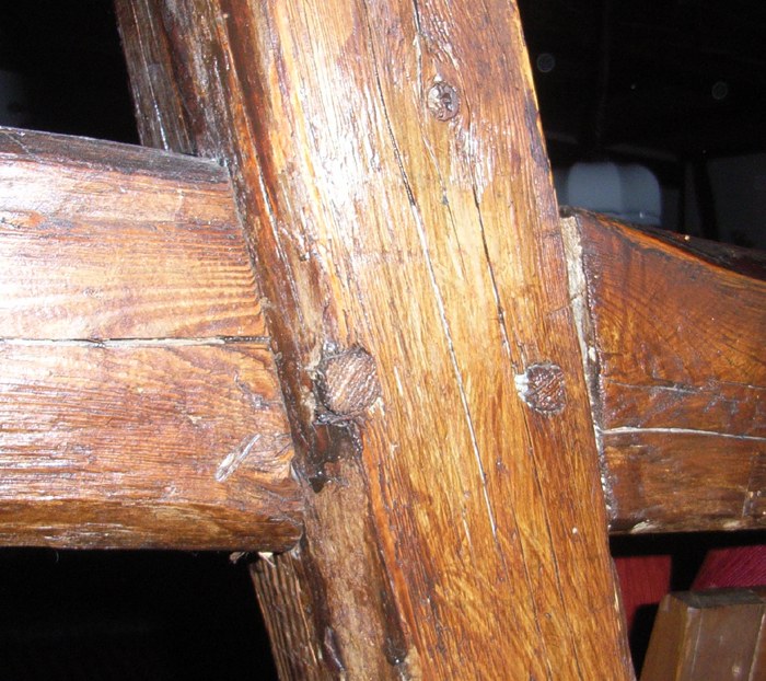 Holznagel_2_komp
