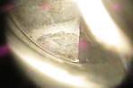 672IMG_2116_1.jpg