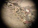 672IMG_2188_1.jpg