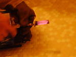 620P7160144.JPG