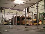 316hsm_juni_2009-058.jpg