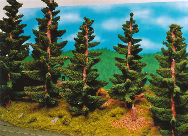 Segment 5