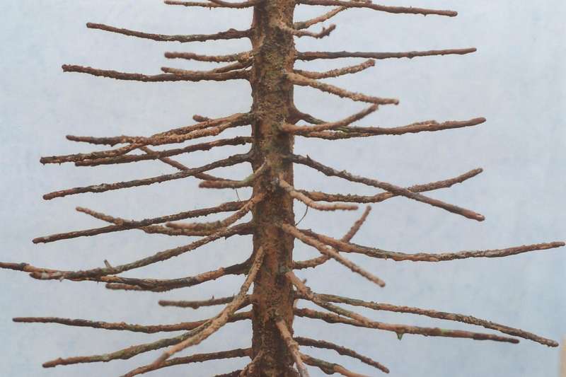 bemalter Baum - Detail