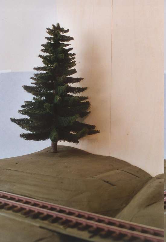 einsame Harztanne
