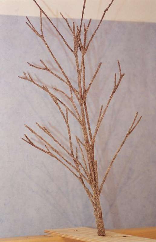 Bäume8