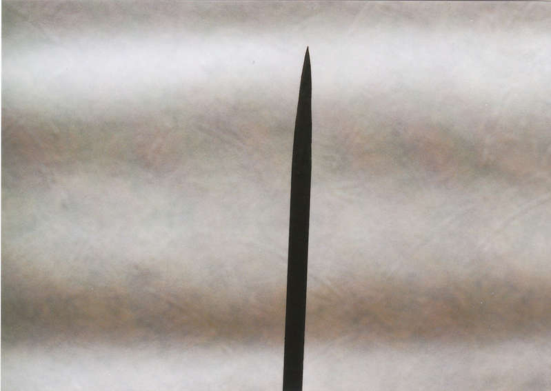 vsk1081