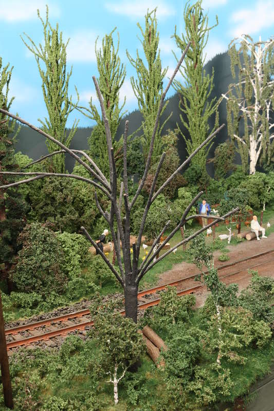 vsk2558