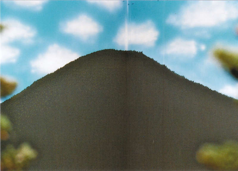 vsk819