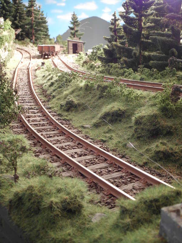 vskav54