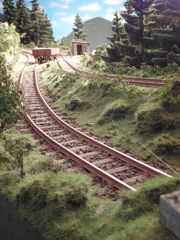 vskav61