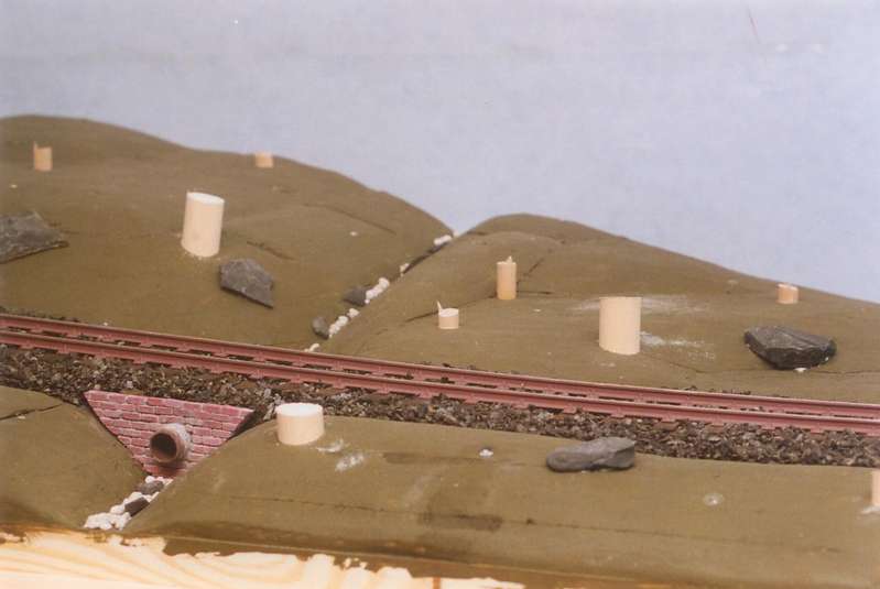 Waldboden, roh