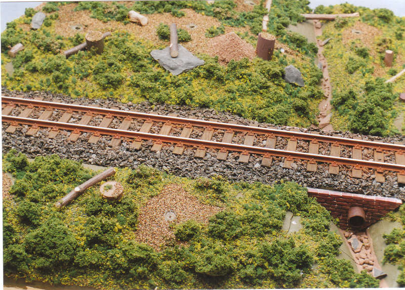 wb50