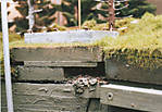 1116vsk1017.jpg