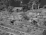 1116vsk1319.JPG