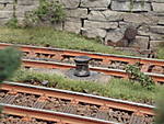 1116vsk1412.JPG