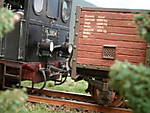 1116vsk1455.JPG