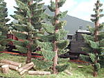1116vsk1457.JPG