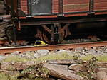 1116vsk1569.JPG