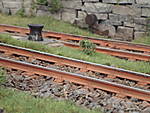 1116vsk1619.JPG