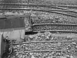 1116vsk1647.JPG