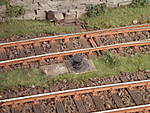 1116vsk1675.JPG