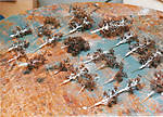 1116vsk1786.jpg