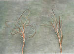 1116vsk1786c.jpg