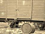 1116vsk1886.JPG