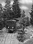 1116vsk1948.JPG