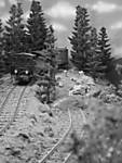 1116vsk1950.JPG