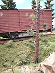 1116vsk1954.JPG