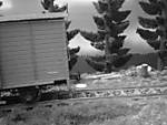 1116vsk1958.JPG