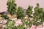 1116vsk2146.JPG