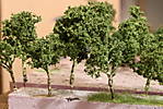 1116vsk2148.JPG