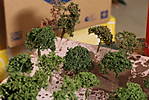 1116vsk2149.JPG
