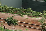 1116vsk2174.JPG