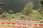 1116vsk2216.JPG