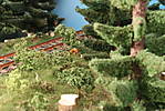 1116vsk2236.JPG