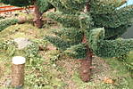 1116vsk2242.JPG