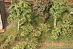1116vsk2319.JPG