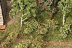 1116vsk2320.JPG