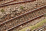 1116vsk2375.JPG