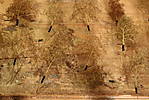 1116vsk2395.JPG