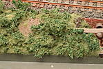 1116vsk2467.JPG